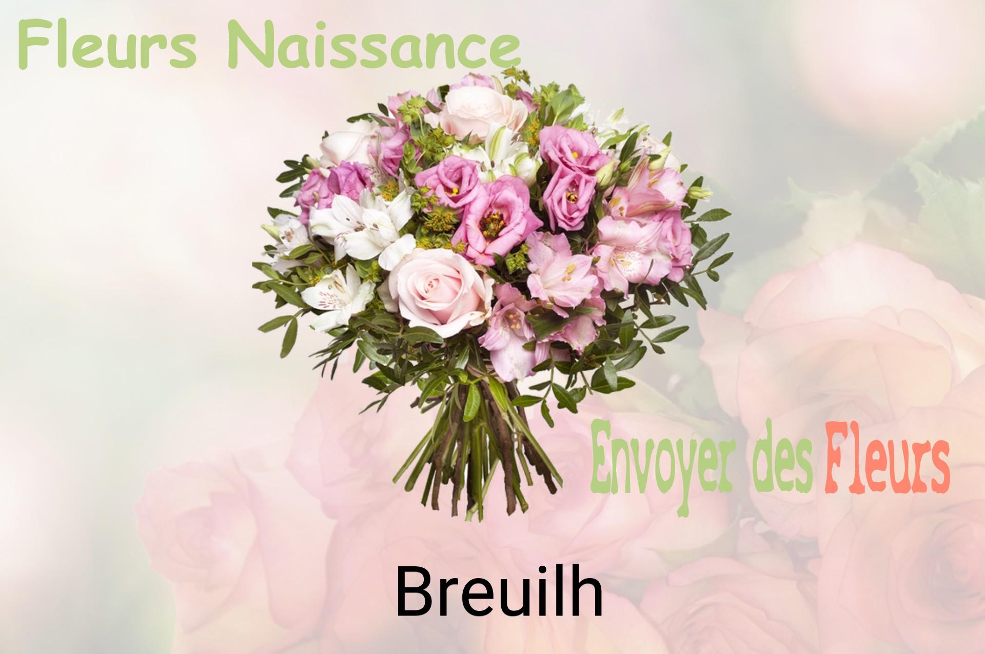 Bouquet de fleurs de naissance livré à Breuilh